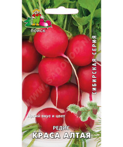 Редис Краса Алтая Редис Краса Алтая