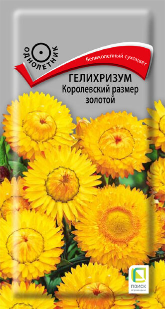 Гелихризум Королевский размер Золотой семена