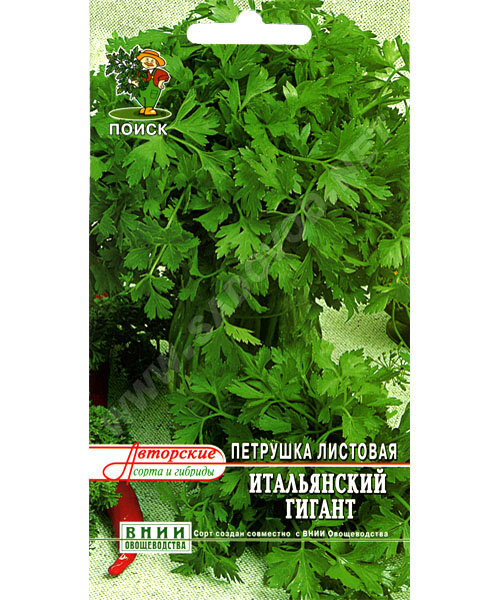 Петрушка листовая Итальянский гигант  семена 