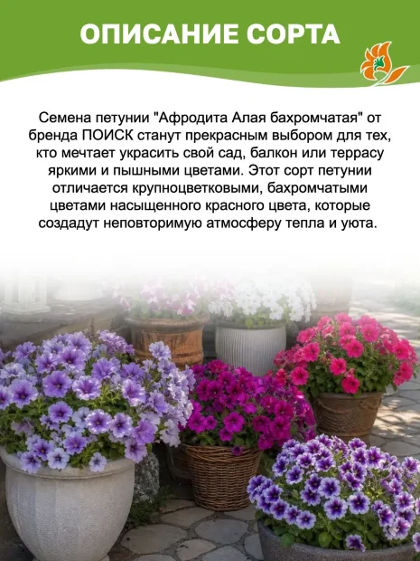 Петуния бахромчатая Афродита алая семена