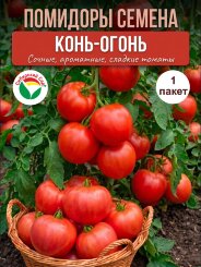 Томат Конь-огонь Томат Конь-огонь