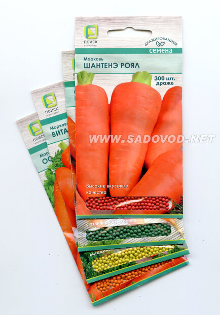 Морковь драже Нантская 4 семена 