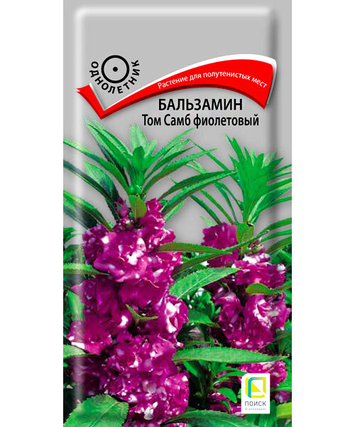 Бальзамин Том Самб Фиолетовый семена
