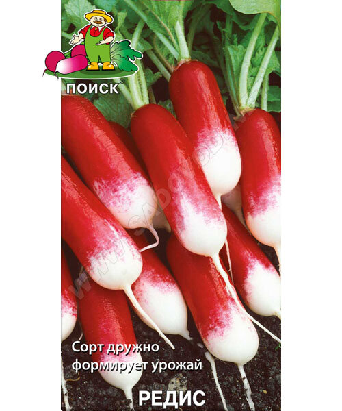 Редис Французский Завтрак (простые пакеты) семена 