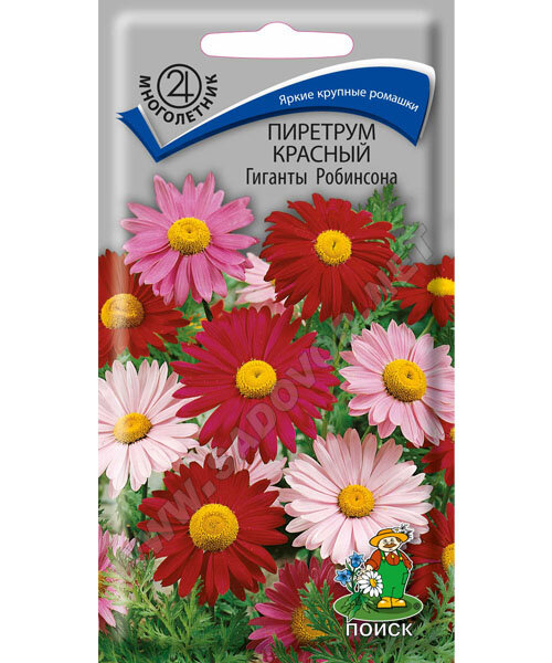 Пиретрум Гиганты Робинсона семена