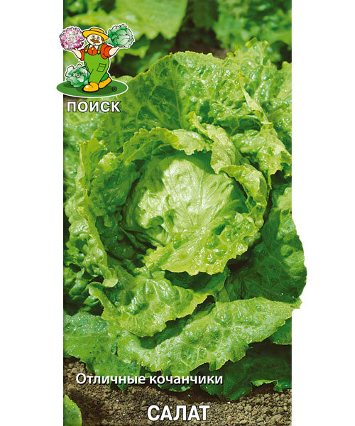 Салат Крупнокачанный (простые пакеты) семена 