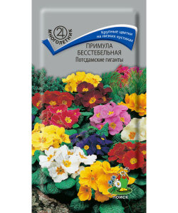 Примула Потсдамские Гиганты (бесстебельная)