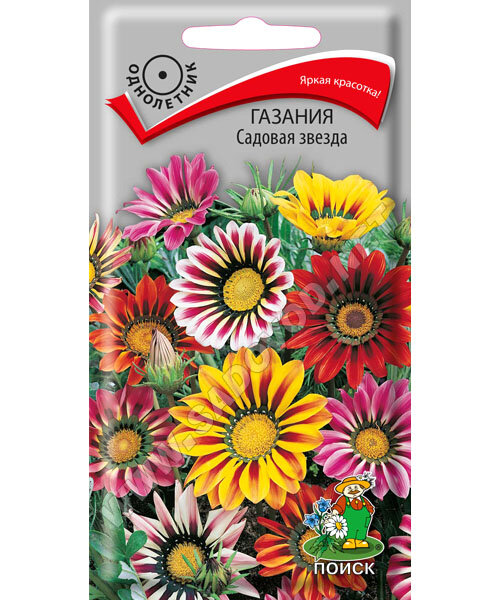 Газания Садовая звезда семена