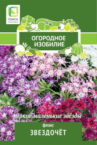 Флокс Звездочет