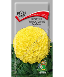 Бархатцы прямостоячие Дядя Стёпа