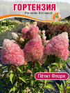 Гортензия Петит Флори (метельчатая) Гортензия Петит Флори (метельчатая)