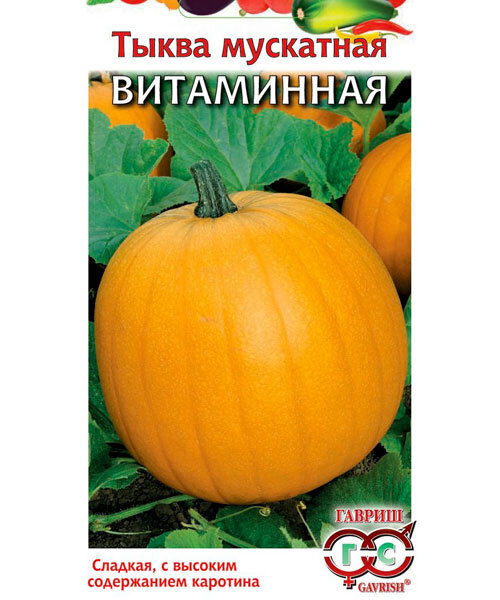 Тыква Витаминная (мускатная) семена 