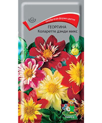 Георгина Коларетте Денди Микс Георгина Коларетте Денди Микс