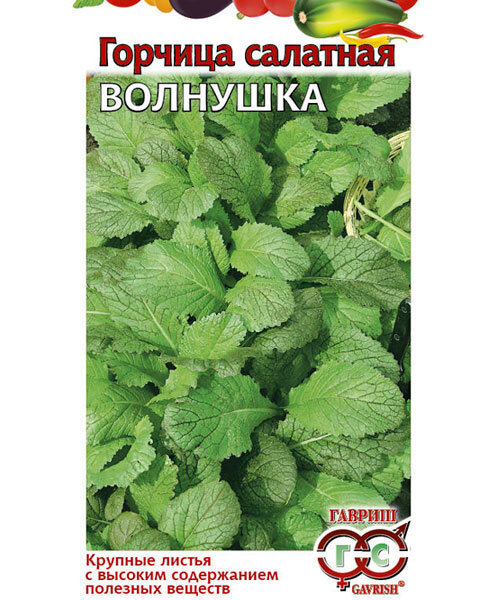 Горчица Волнушка салатная семена 