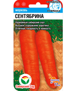 Морковь Сентябрина