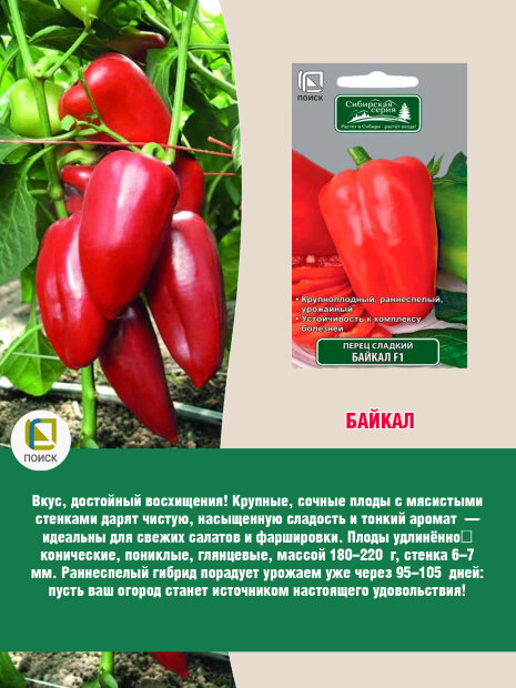 Перец сладкий Байкал F1 семена 