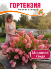 Гортензия Мэджикал Кэндл (метельчатая) Гортензия Мэджикал Кэндл (метельчатая)