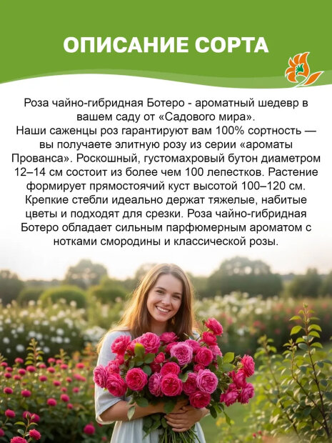 Роза Ботеро