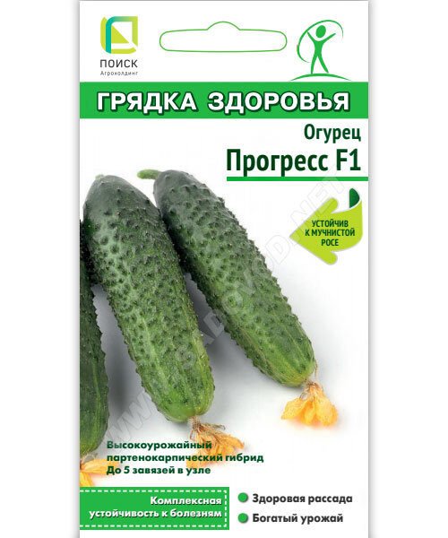 Огурец Прогресс F1 семена 
