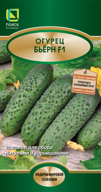 Огурец Бьерн F1 семена 
