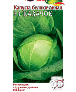 Капуста белокочанная Казачок F1 Капуста белокочанная Казачок F1