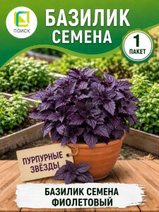 Базилик Пурпурные звезды
