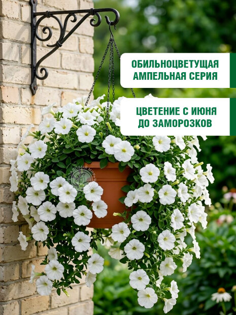 Петуния ампельная Лавина Белая семена