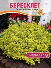 Бересклет Эмералд Голд (Форчуна) Бересклет Эмералд Голд (Форчуна)