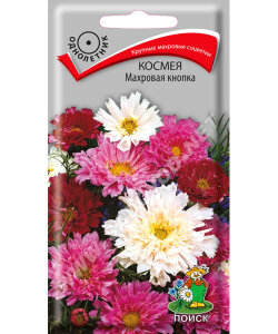 Космея Махровая Кнопка Космея Махровая Кнопка