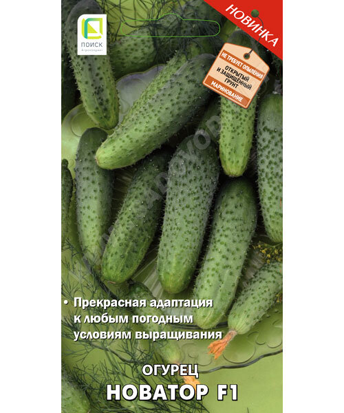 Огурец Новатор F1 семена 