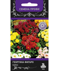 Георгина Фигаро Микс (Профи) Георгина Фигаро Микс (Профи)
