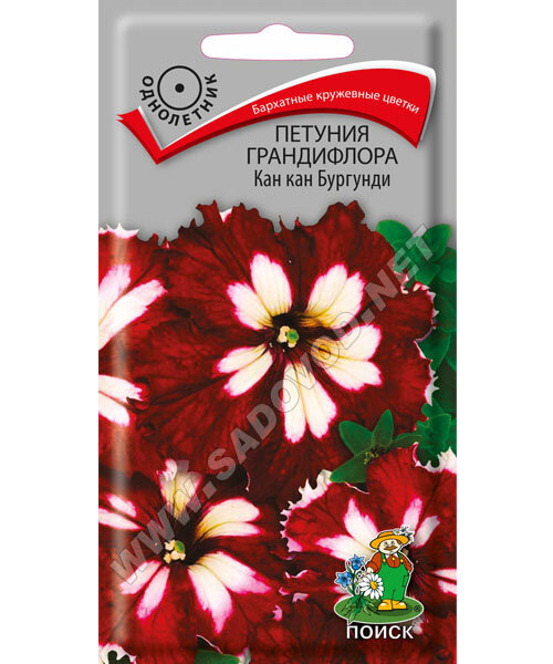 Петуния грандифлора Кан Кан Бургунди семена