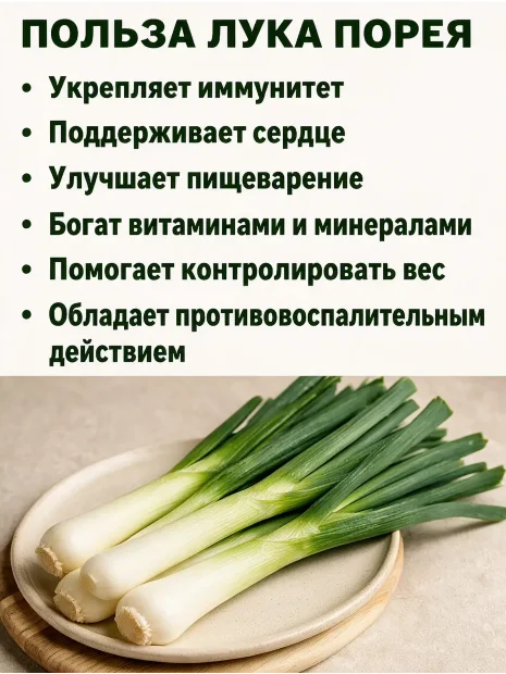 Лук порей Карантанский семена 