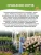 Гортензия Шлосс Вакербарт (крупнолистная) саженцы 