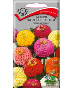 Цинния низкорослая Фея Смесь окрасок
