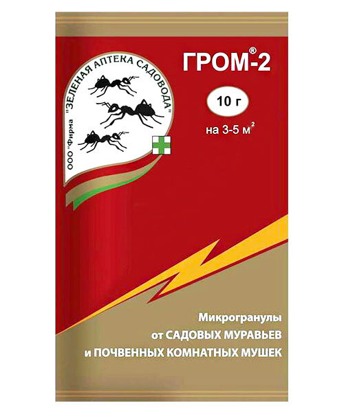 Гром-2