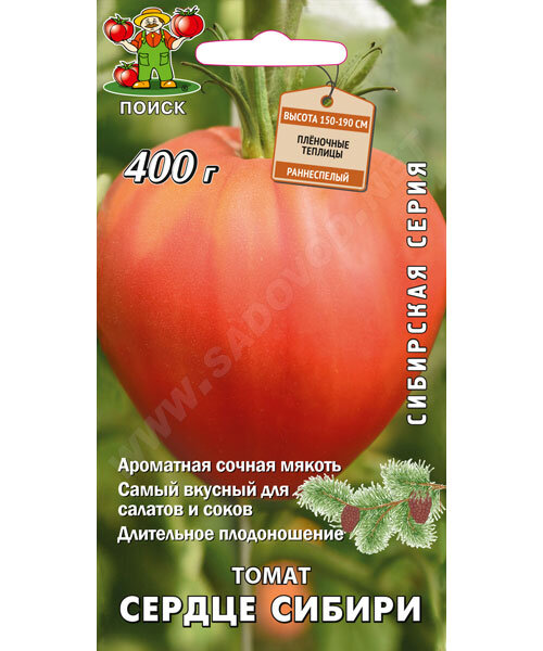 Томат Сердце Сибири 